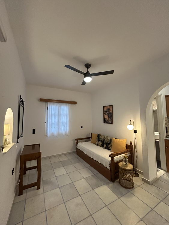 Spacious Sea View Apartment Naxos