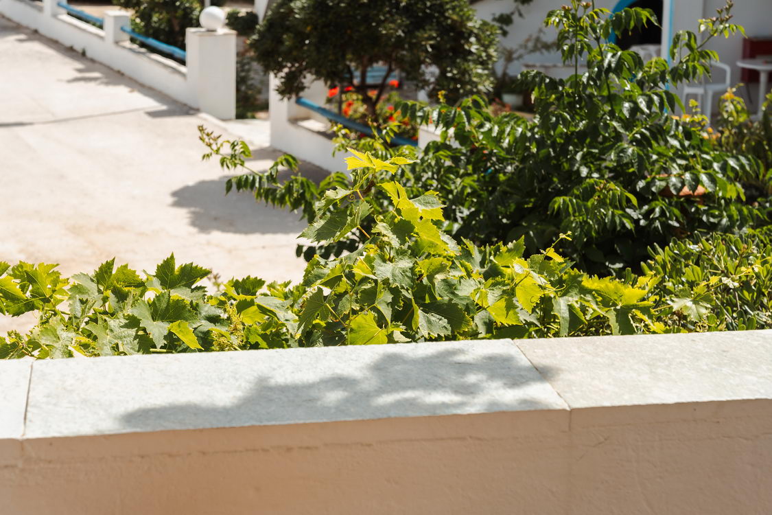 King Double Room Naxos