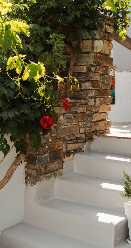 Semi-Basement Apartment Interior